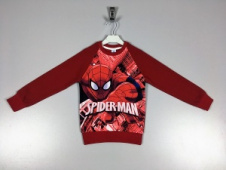 Свитшот для мальчика TRP1644